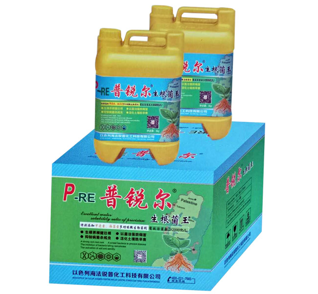 普锐尔生根菌王