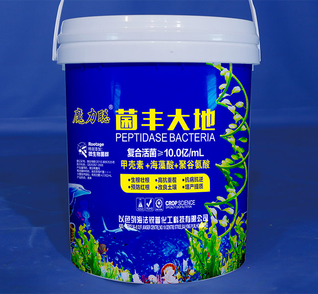 魔力聪·菌丰大地